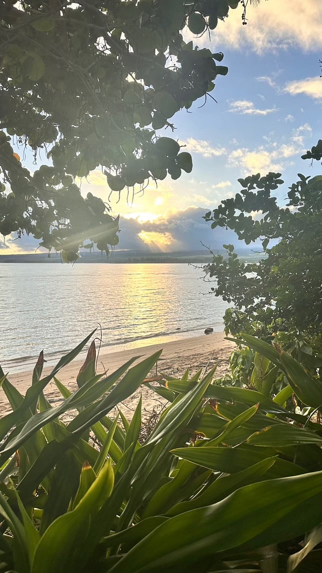Enjoy your own private beach right in your backyard