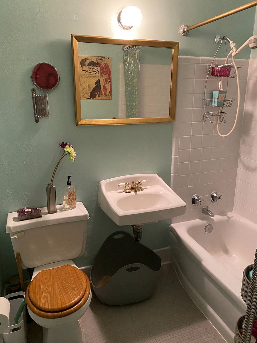 Furnished Finder property 784292_1 photo 11