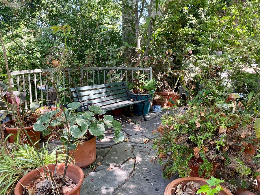 Garden Area