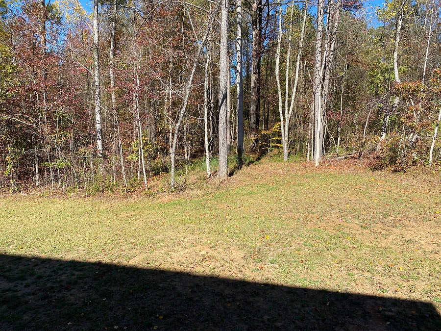 Furnished Finder property 784443_1 photo 24