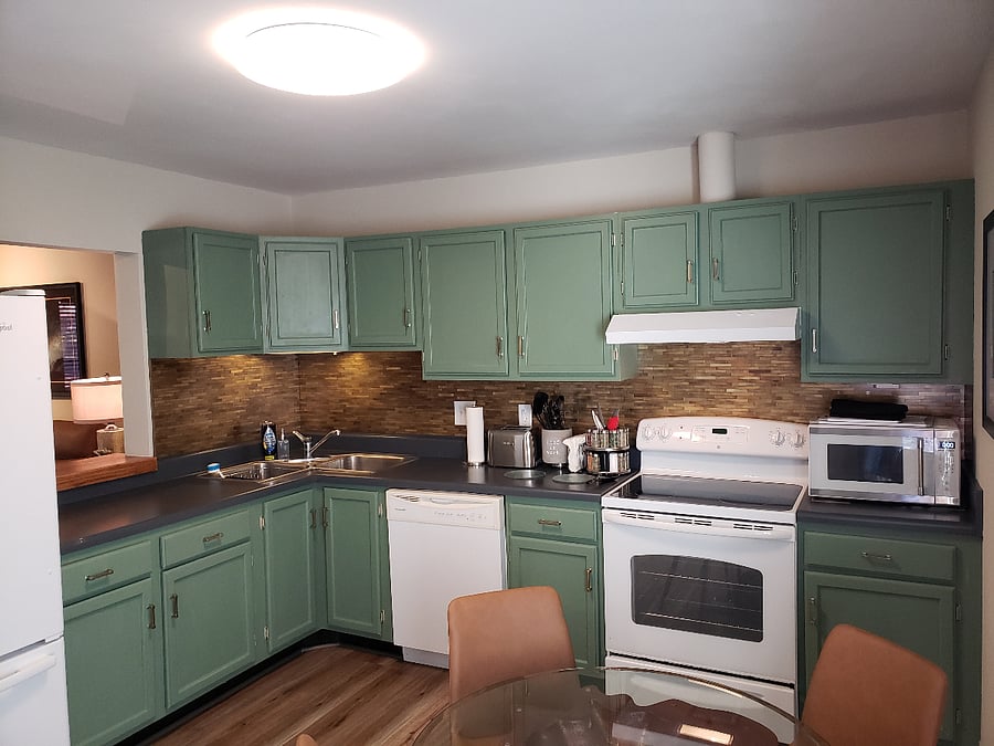 Full sized eat-in kitchen. Stove, microwave, dishwasher, full sized refrigerator.