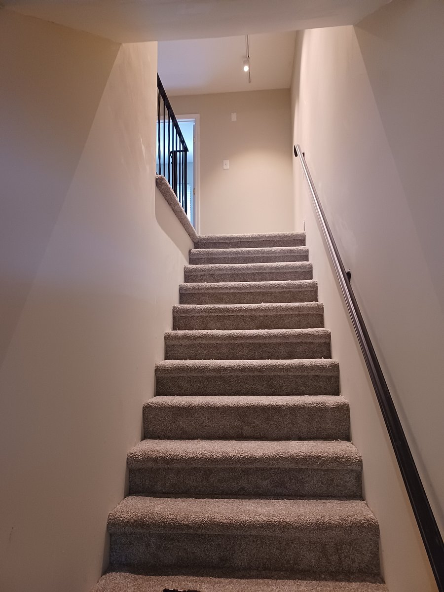 Carpeted stairwell