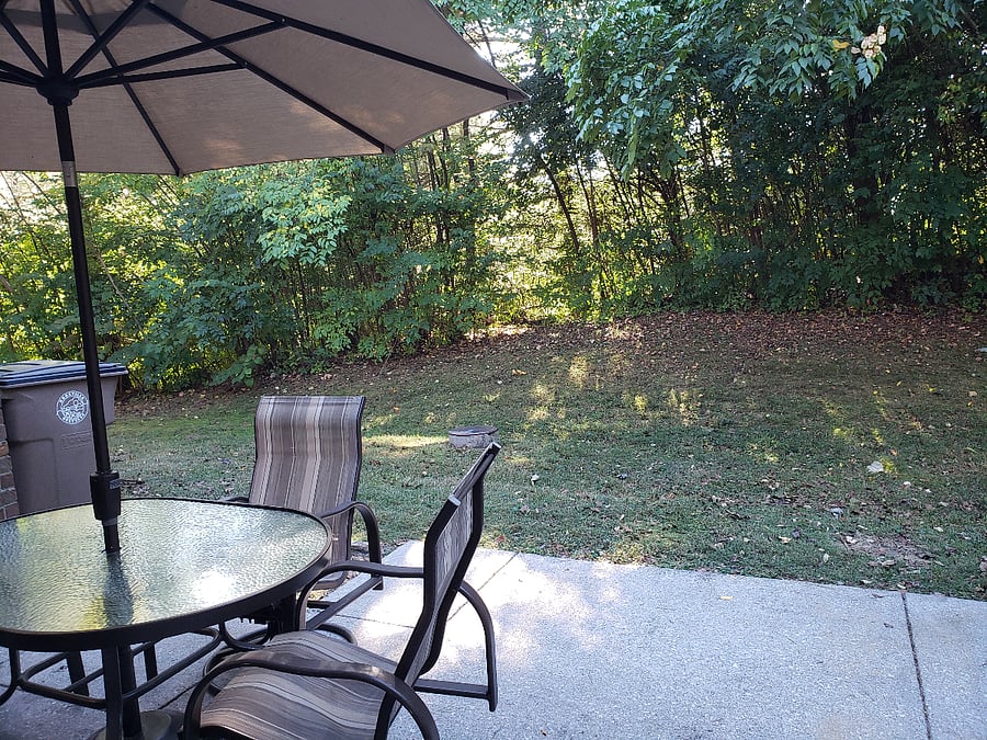 Wooded view from kitchen and patio