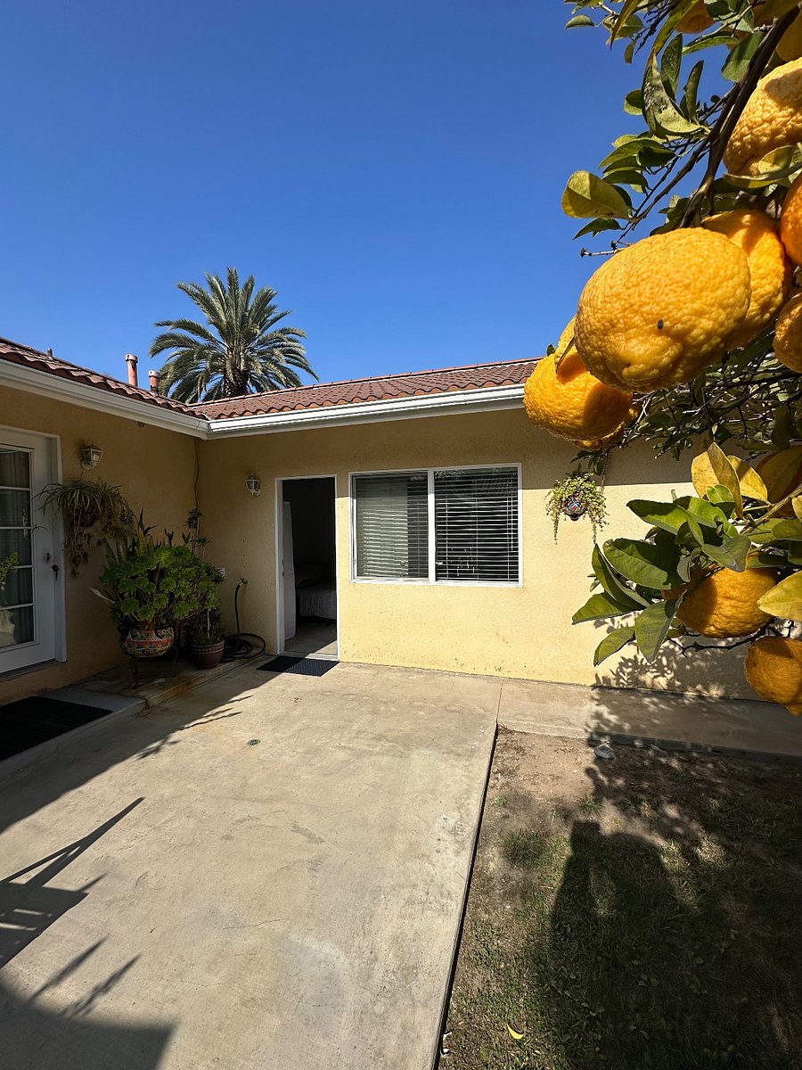 Furnished Finder property 785148_1 photo 20