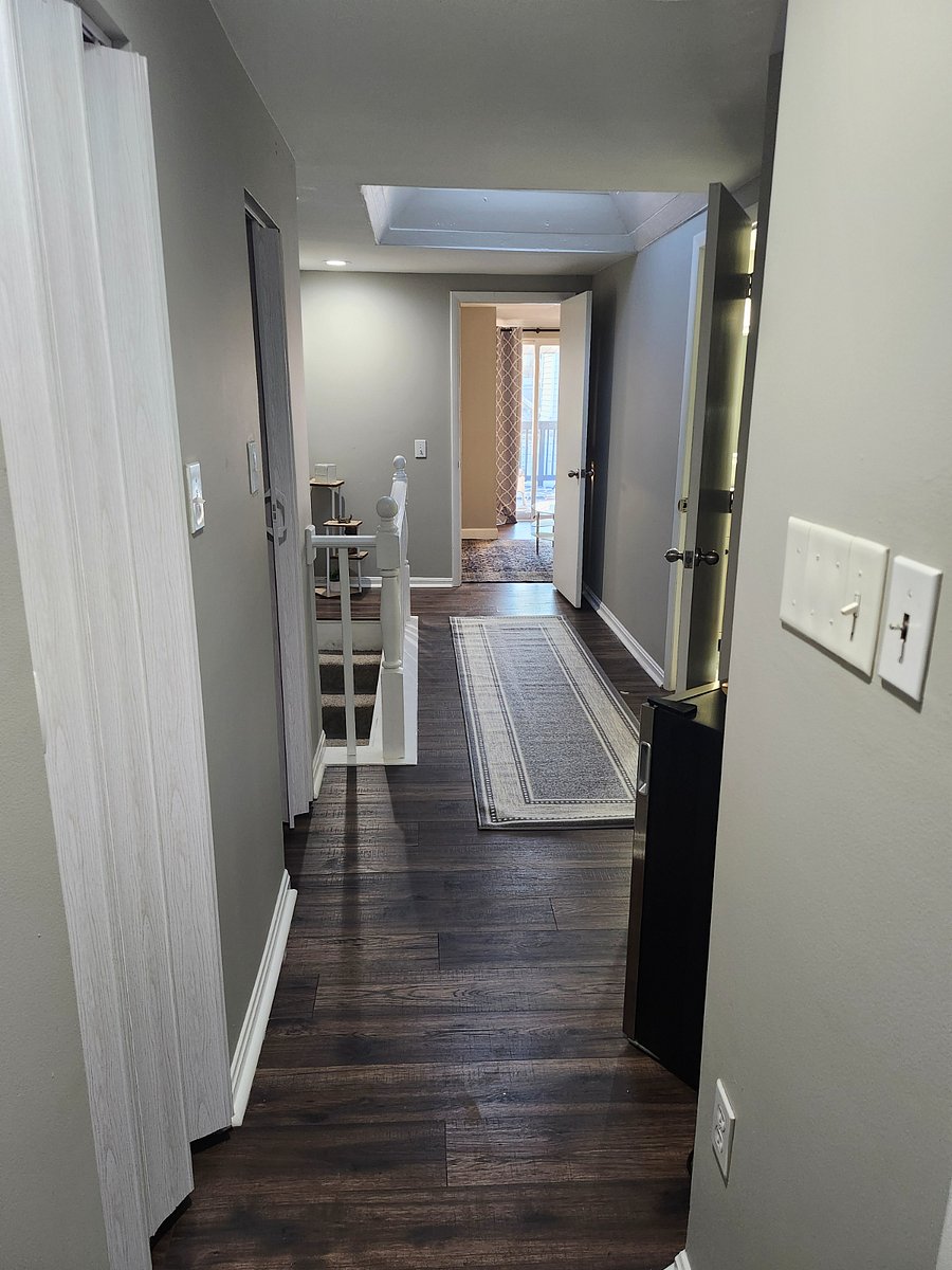 Furnished Finder property 785191_1 photo 11