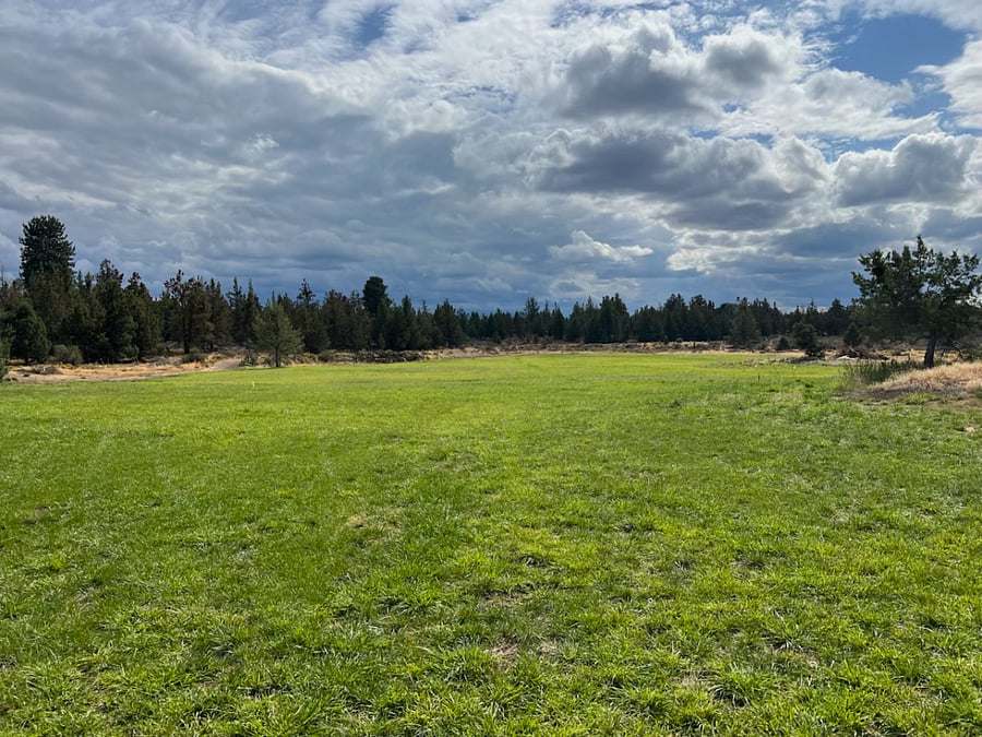 View of our back yard