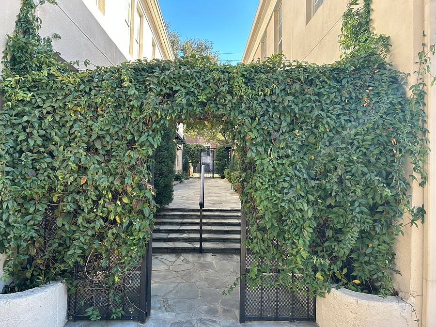 Courtyard entrance from rear parking area