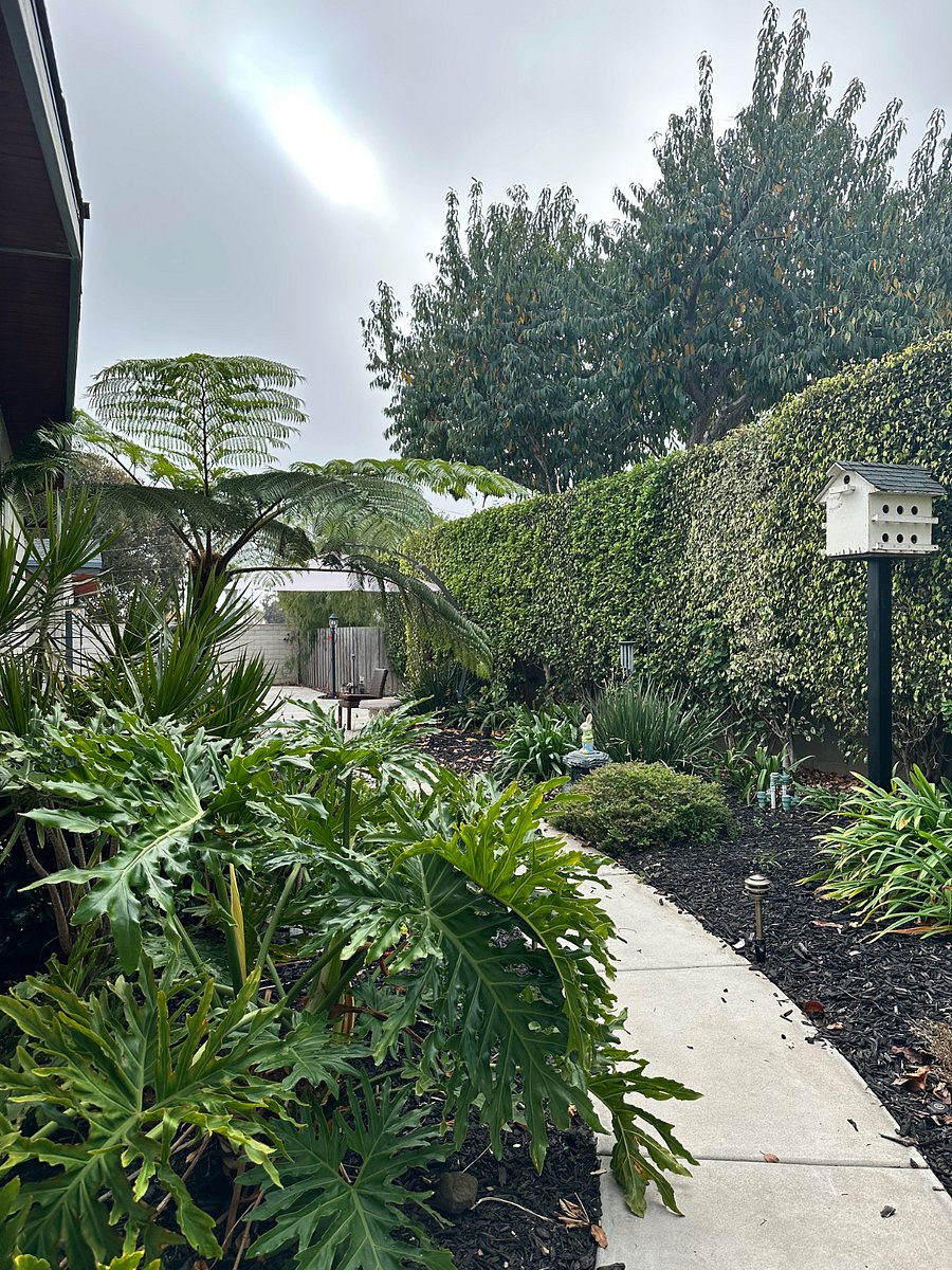 Furnished Finder property 785493_1 photo 32