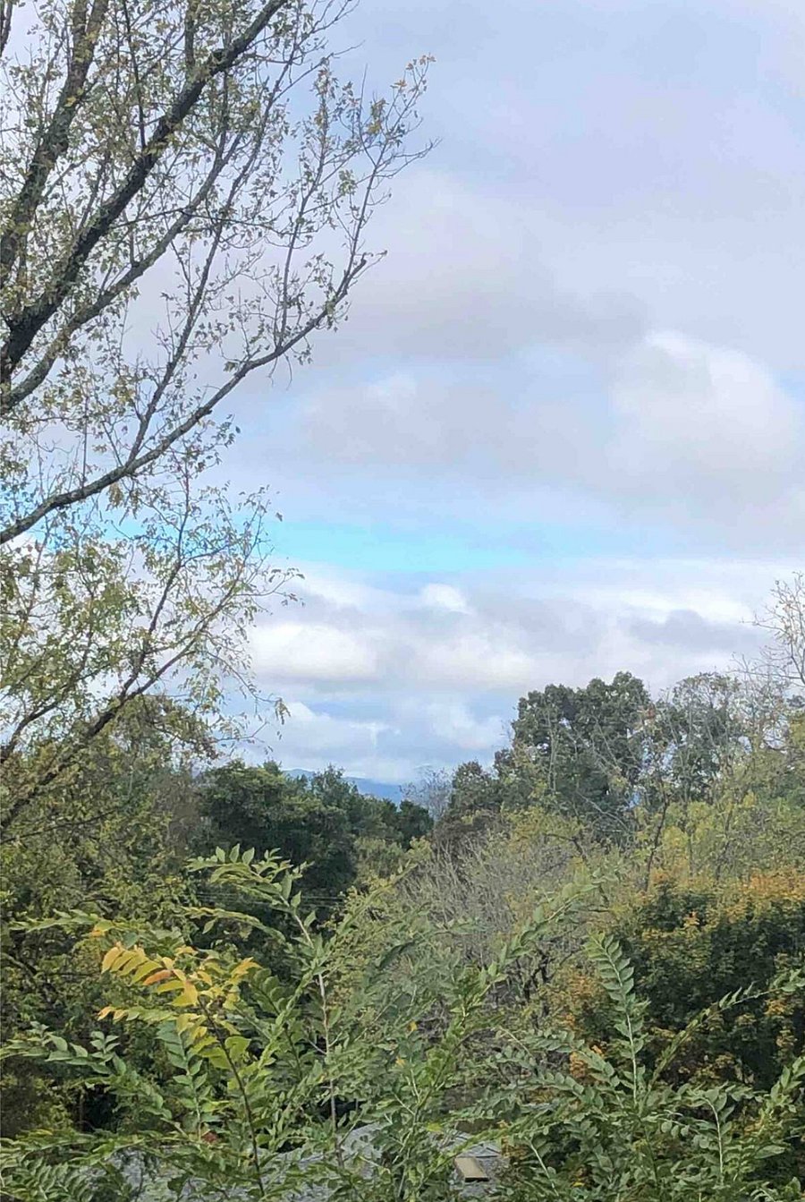 You will love the view from the back deck!