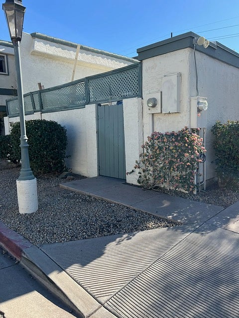 back gate
