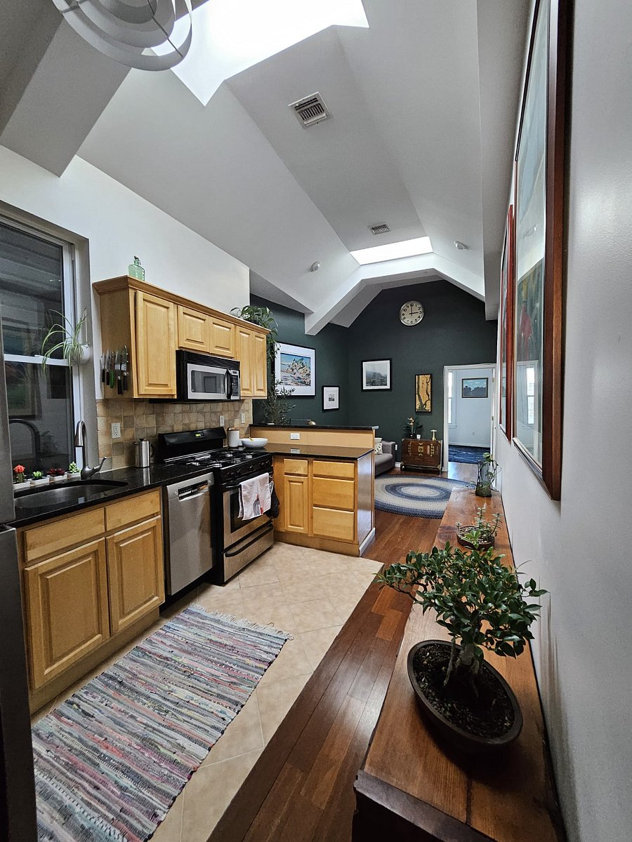 Fridge, microwave, oven, french press