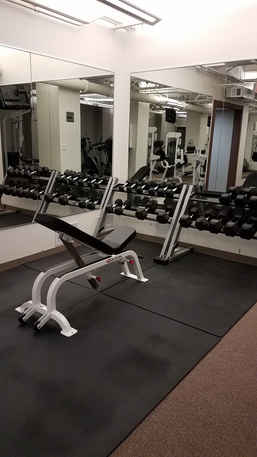 Gym with free weights and weight machines