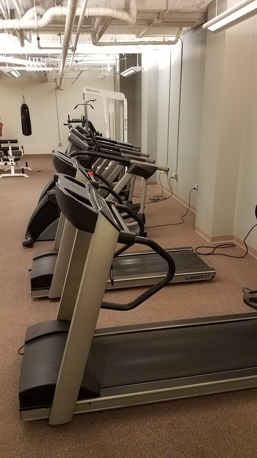 Gym with treadmill, elliptical, recumbent bike, rowing machine