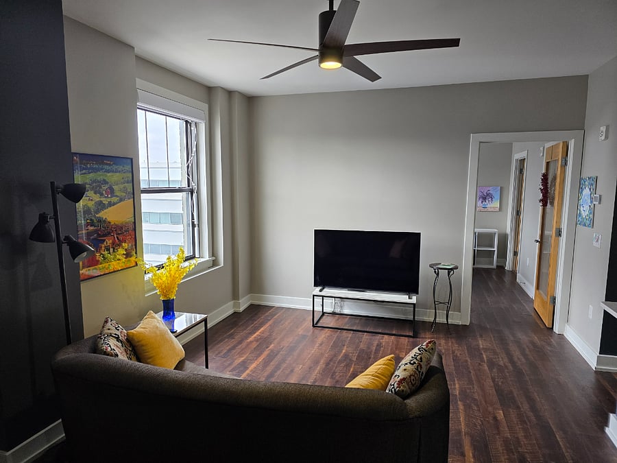 Living room, WI-FI access, television