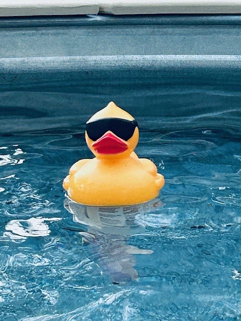 cowboy pool mascott!