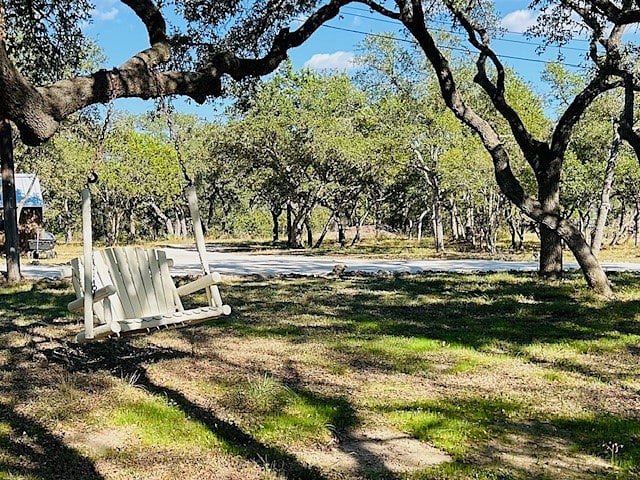 lovely oak trees and comfy swing to drink coffee and watch the deers