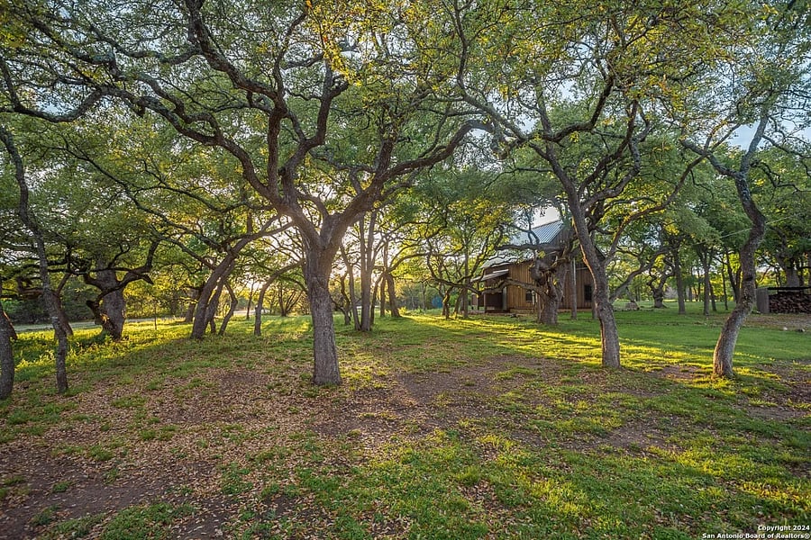 view of the entrance with all the lovely Oak Trees all over the property