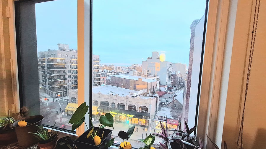 View from Living area.