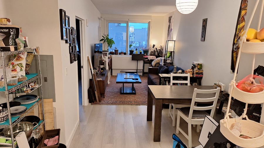 Dining + Living room area (old couch pictured, see updated living room photo)