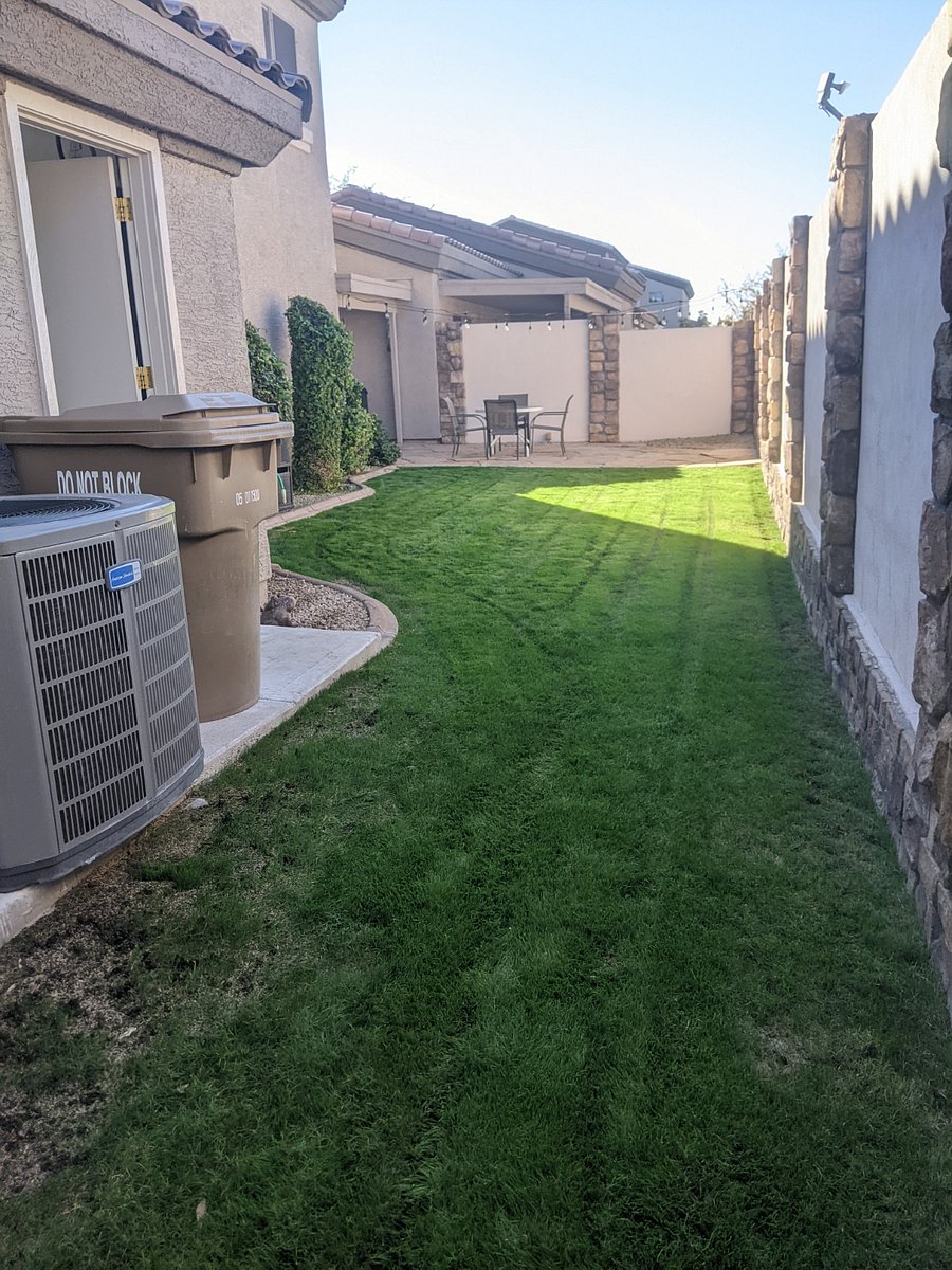 Backyard with real grass, outdoor seating under cafe lights