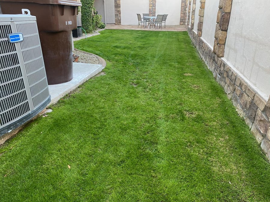 Backyard with real grass