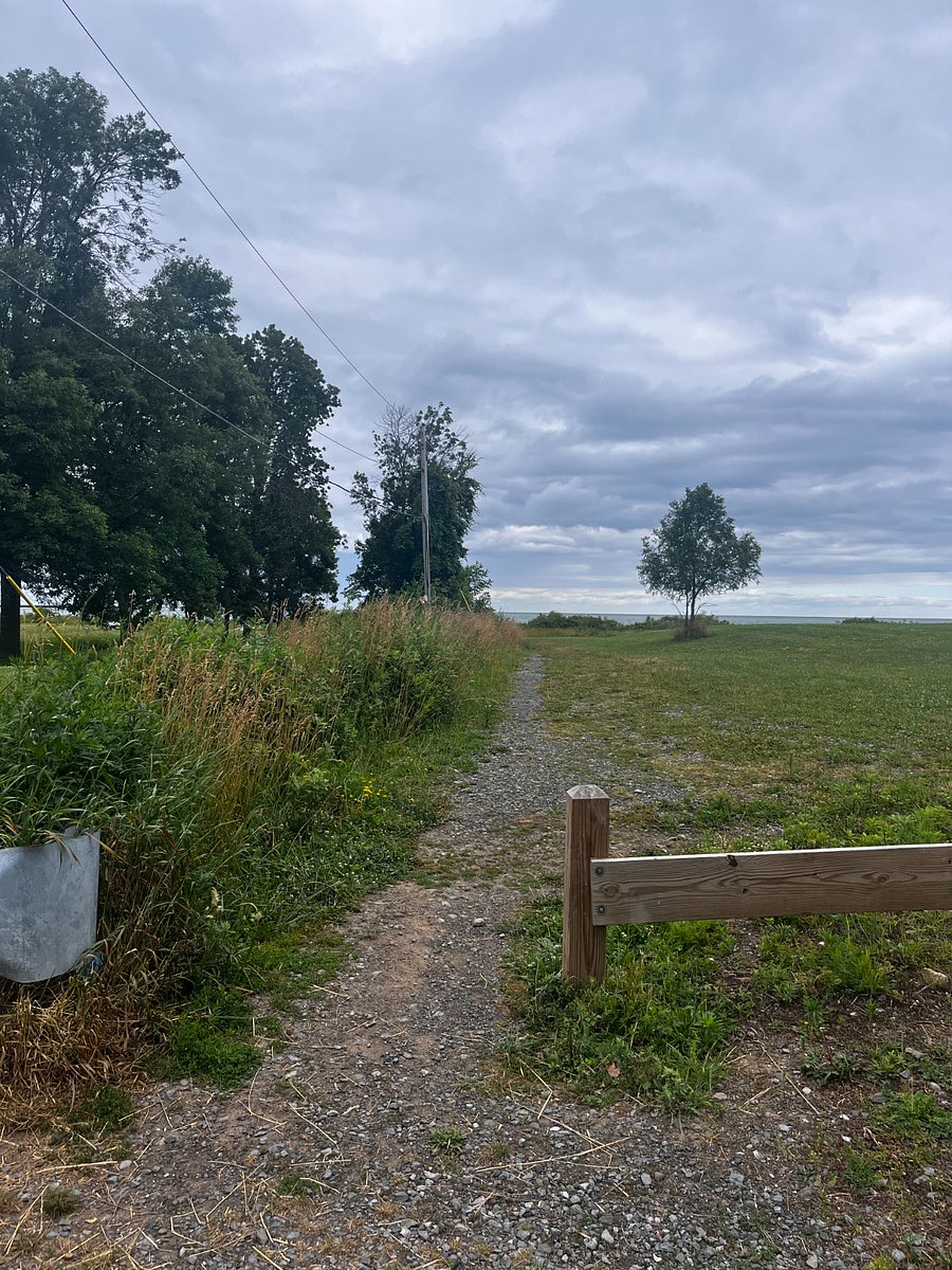 Public walkway to the beach of Lake Ontario, less than 4 minute walk from our home. Please be mindful of private properties.