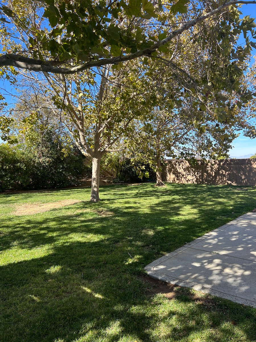 Furnished Finder property 786311_1 photo 3