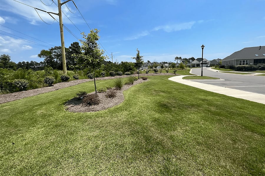 Furnished Finder property 786390_1 photo 16