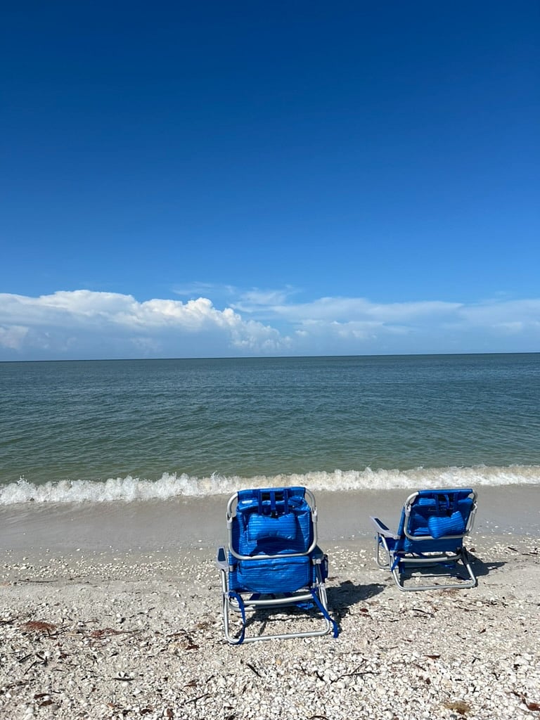 Furnished Finder property 786782_1 photo 29