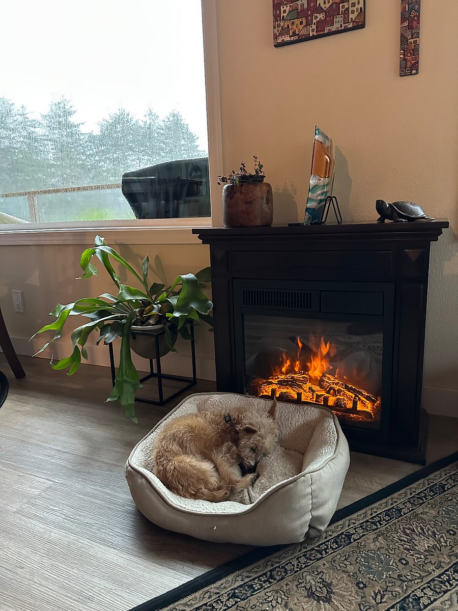 Electric fireplace in Great Room