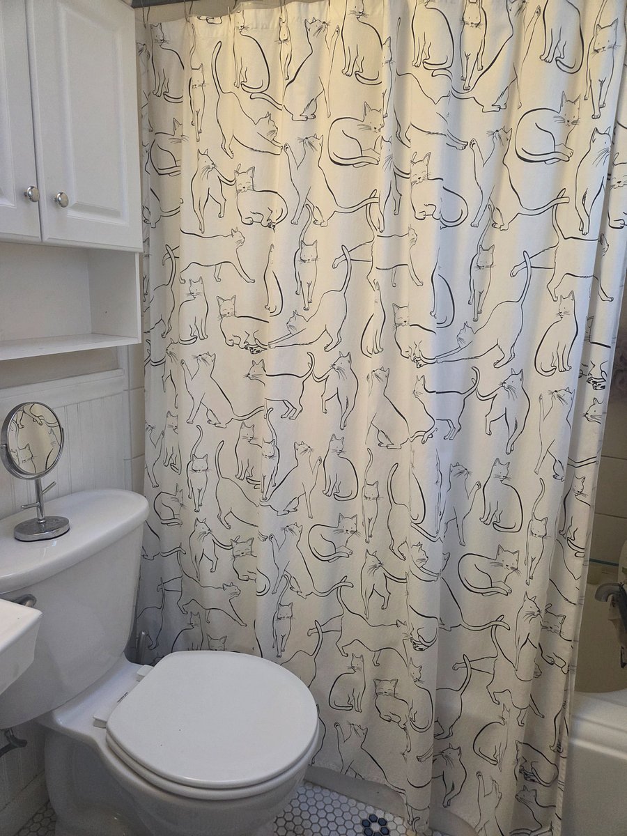 Furnished Finder property 787263_1 photo 5