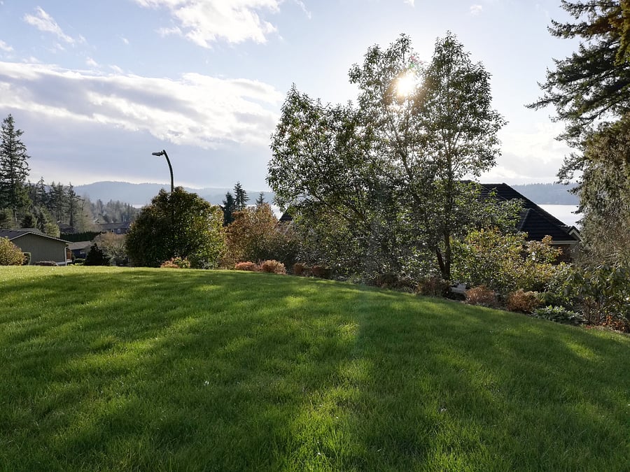 Furnished Finder property 787267_1 photo 16