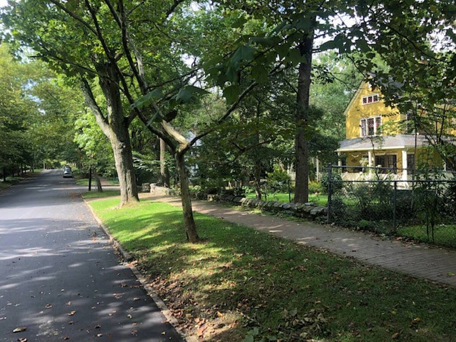 Neighborhood is tree lined and very walkable