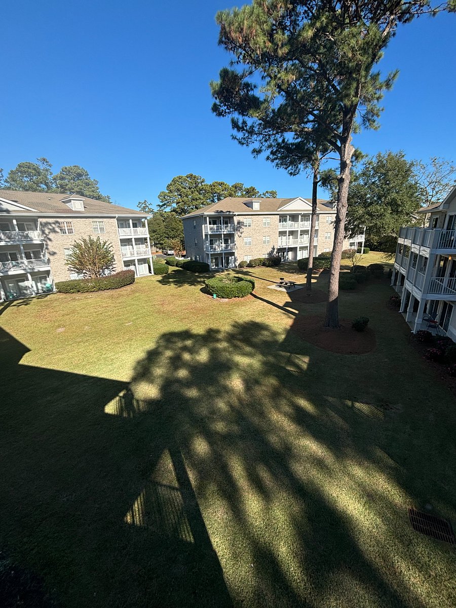 Furnished Finder property 787720_1 photo 15