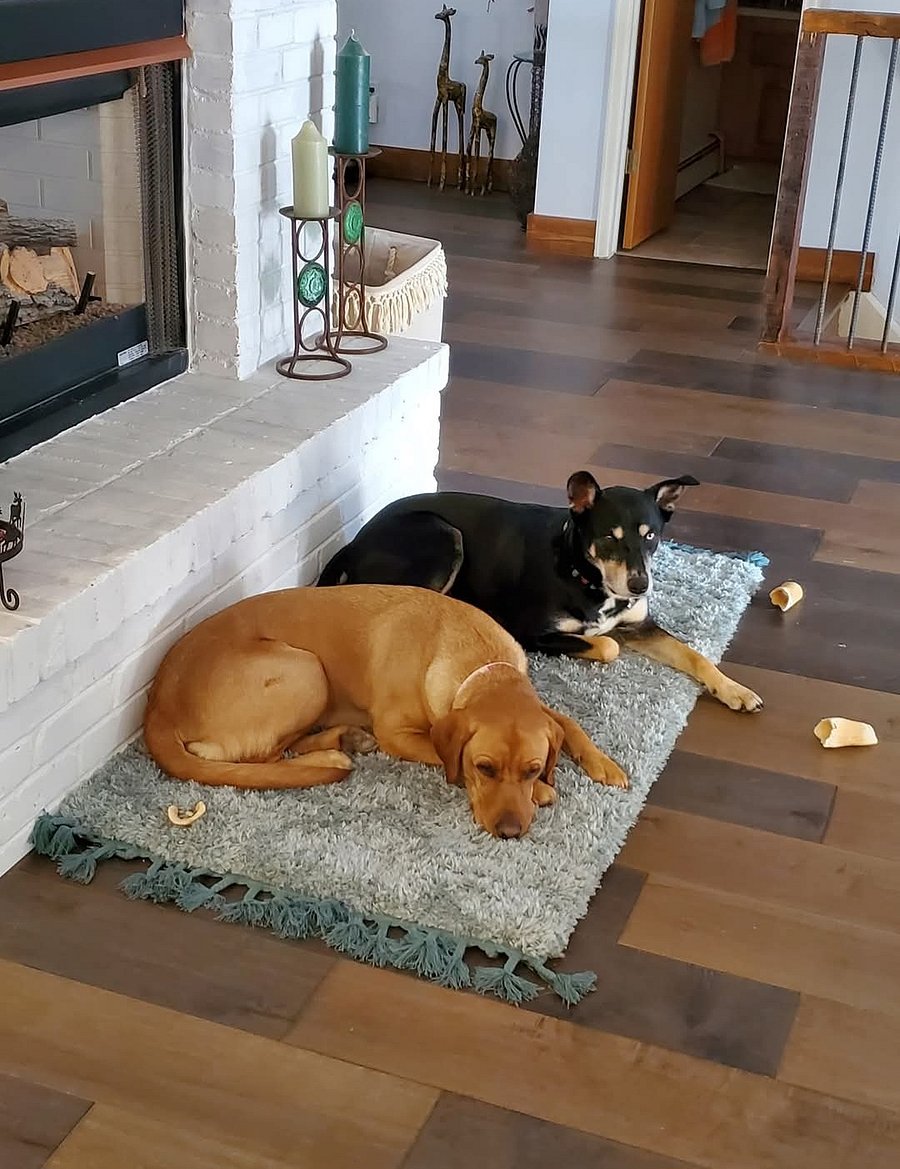 Juneau and Ed may wander around outside. 