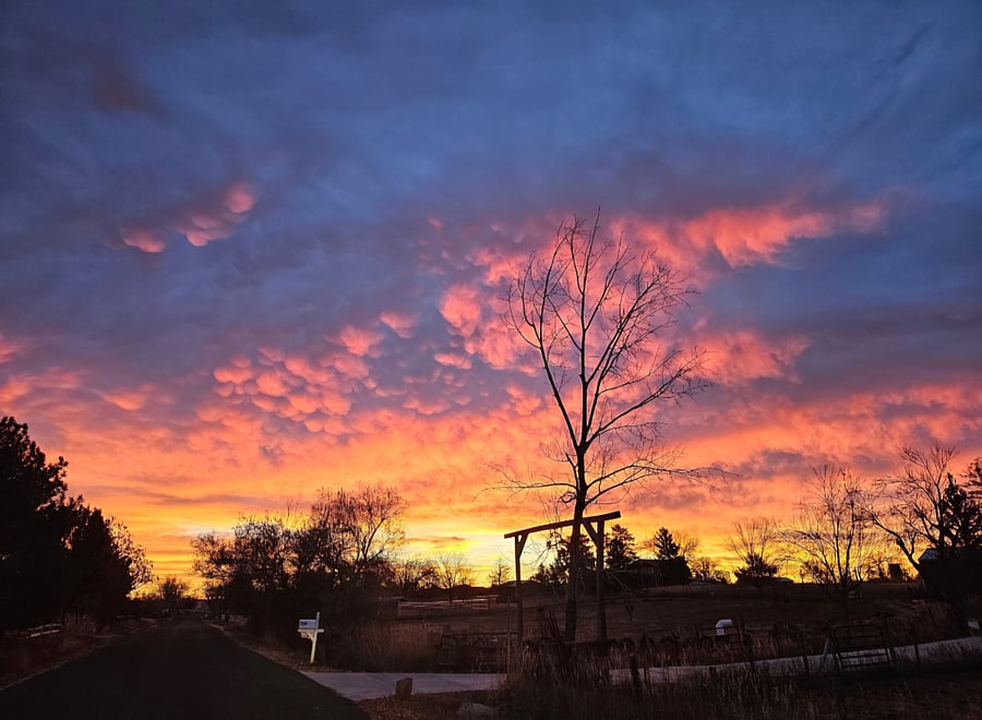 Sunrise