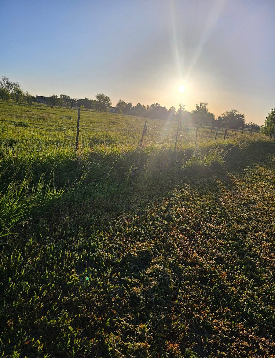 Pasture views