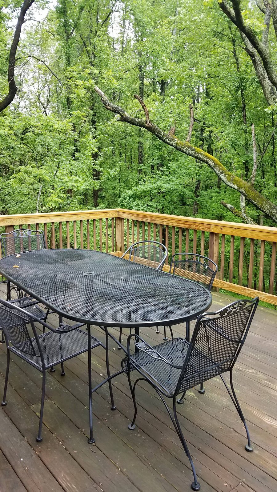Furnished Finder property 788026_1 photo 16