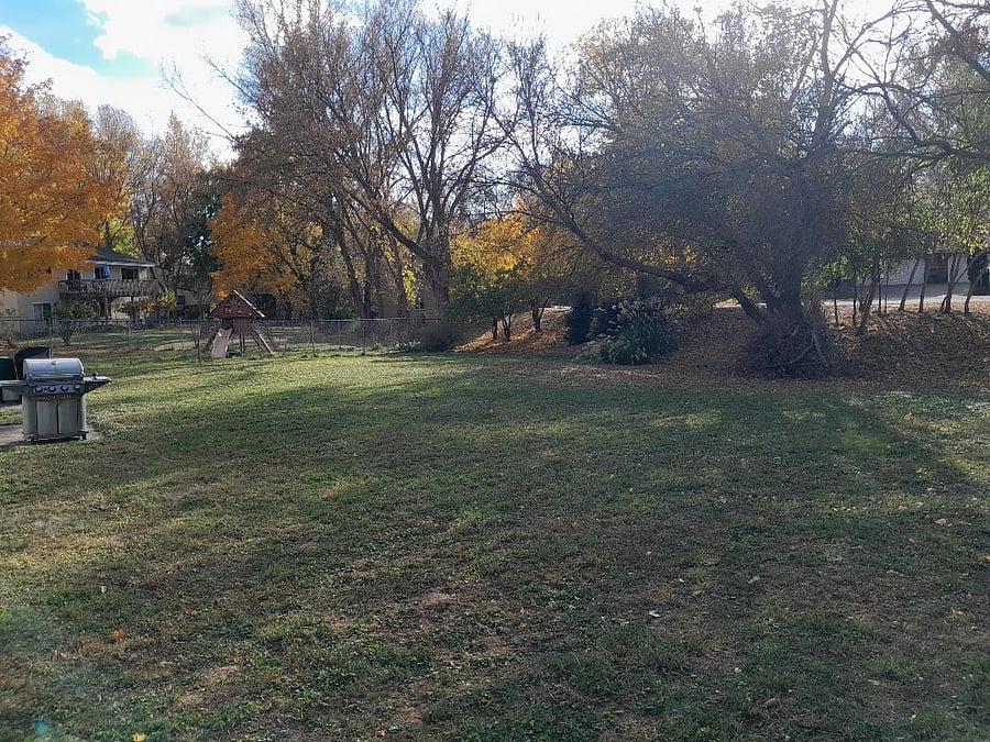 BIG Back Yard to Enjoy