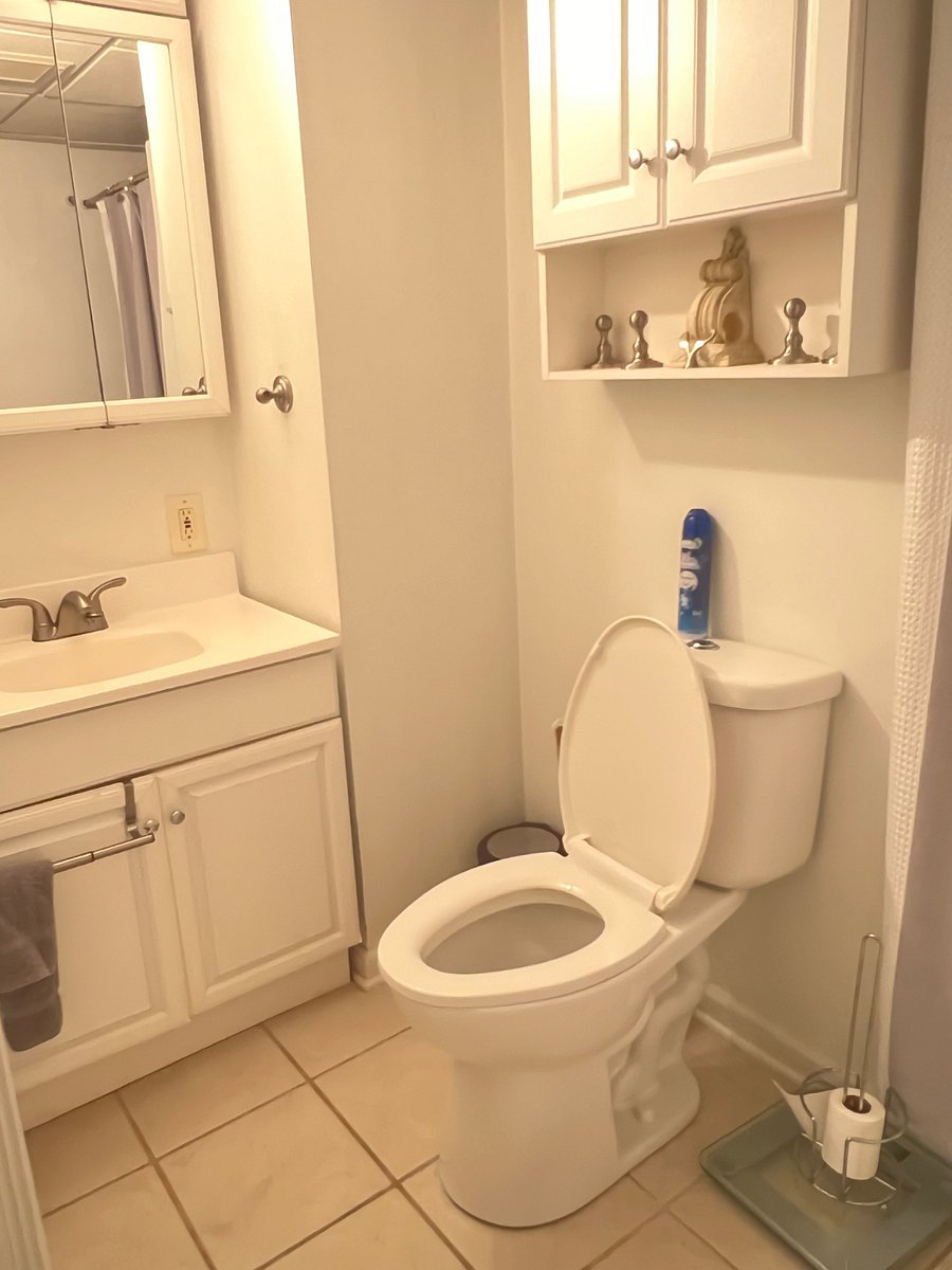 Furnished Finder property 788247_1 photo 7