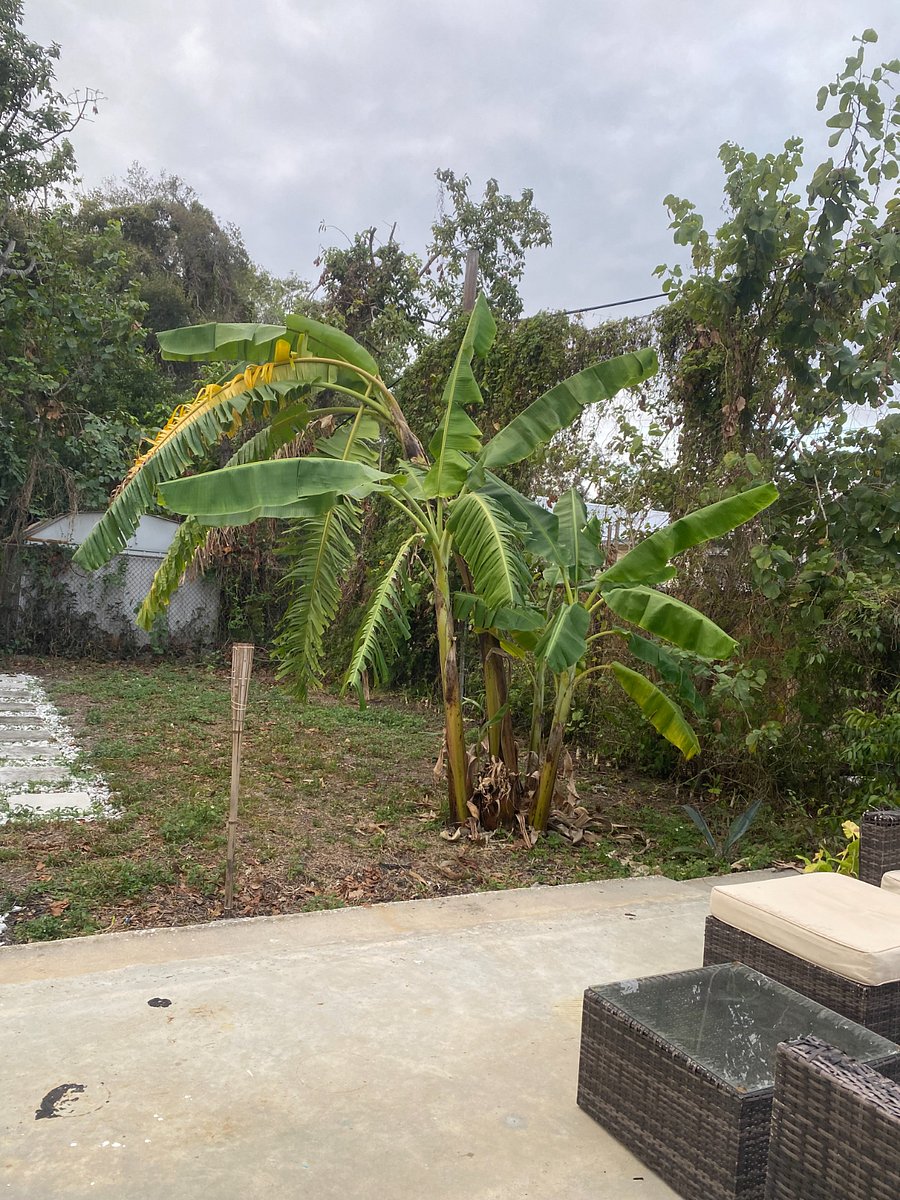 Furnished Finder property 788273_1 photo 14