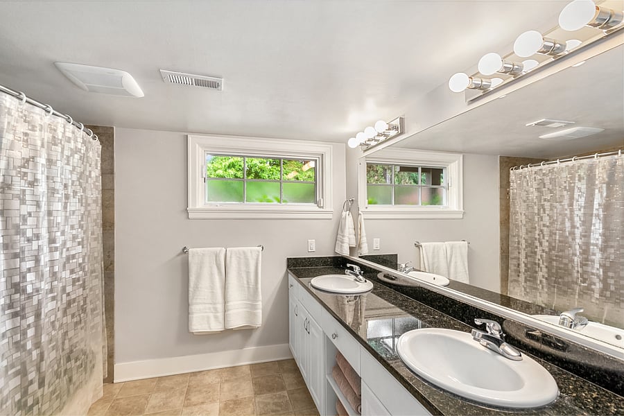 Lower-level Bathroom