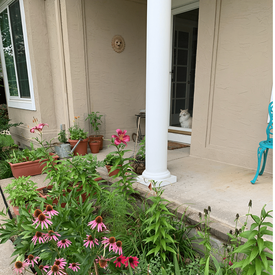 Shared front entry