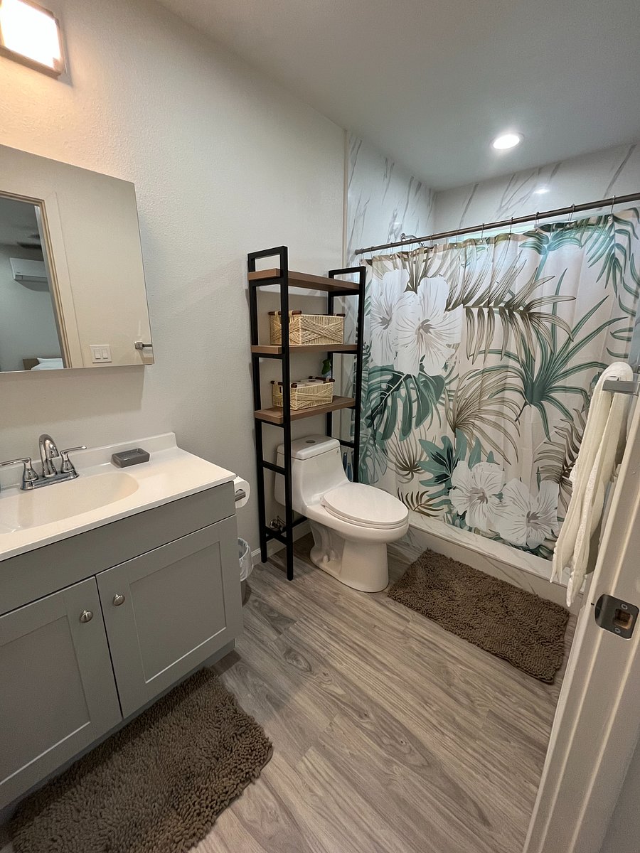 Downstairs master bathroom