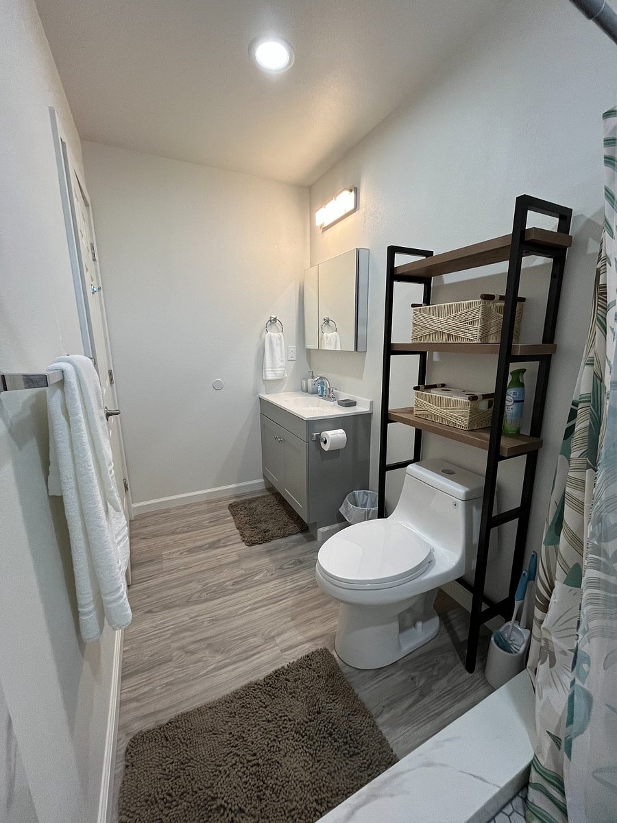 Downstairs master bathroom