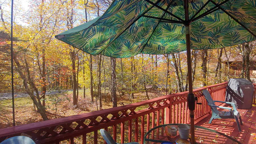 Furnished Finder property 788649_1 photo 19