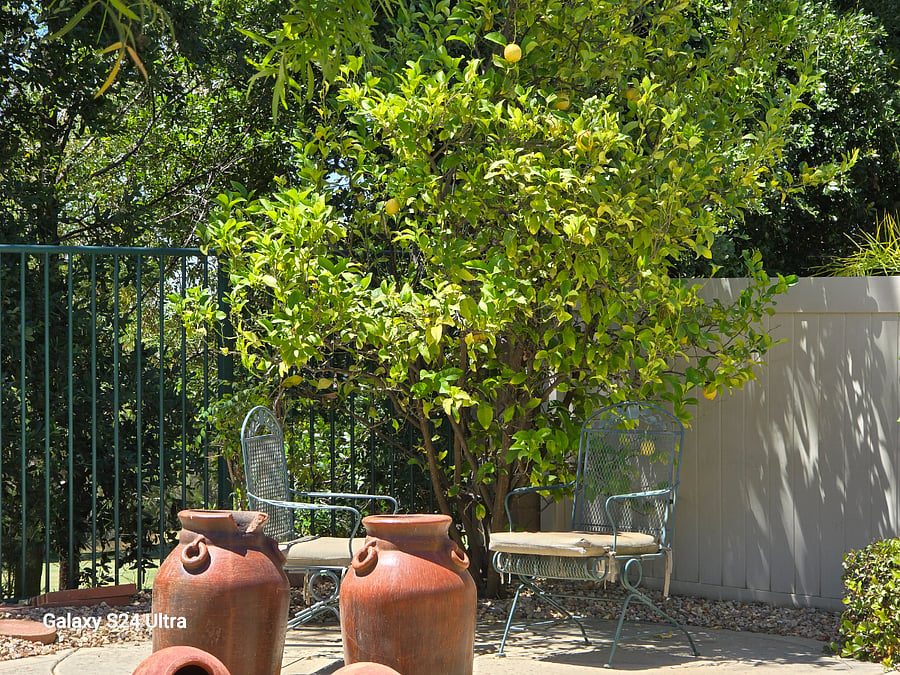Furnished Finder property 788712_1 photo 12