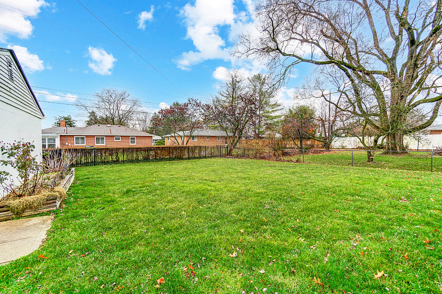 Back yard