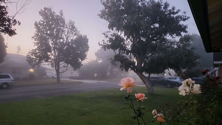 view from the front porch