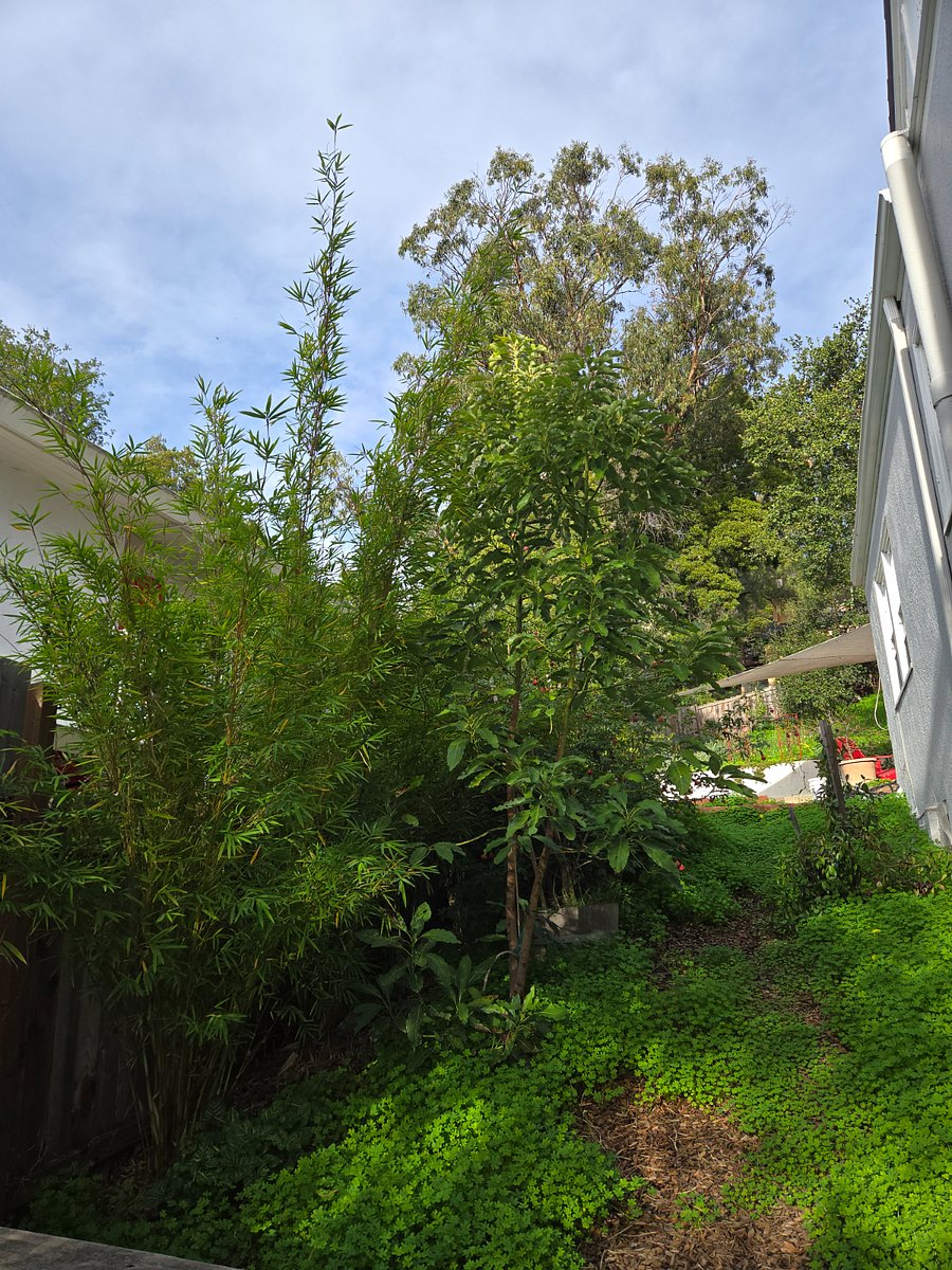 Furnished Finder property 789337_1 photo 26